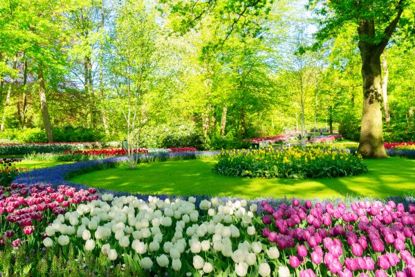 Flower Bed Planting