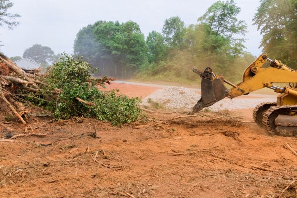 Brush Clearing Service
