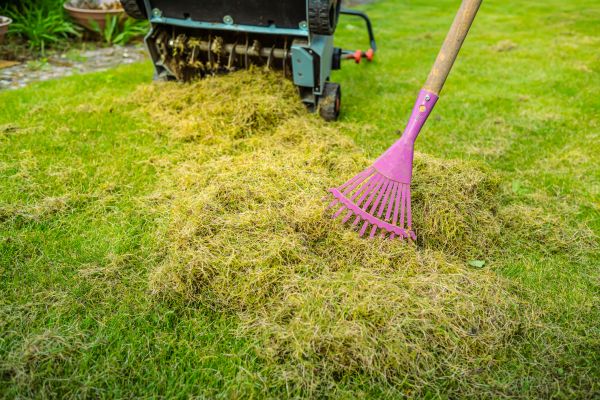 Backyard Aeration