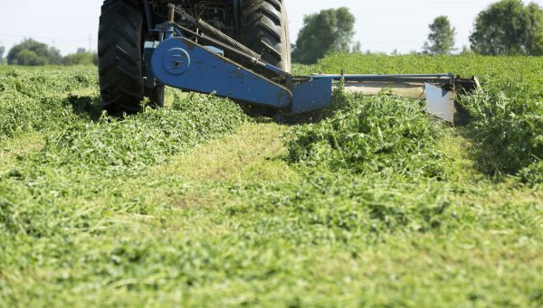 Acres Brush Hogging