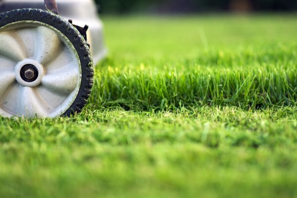 Lawn Mowing