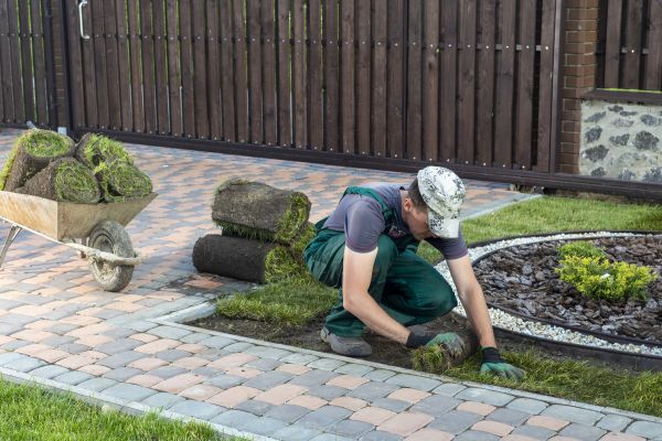 Backyard Landscaping Service