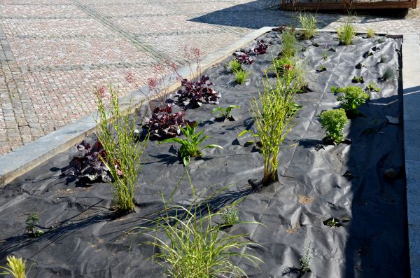 Landscape Fabric Installation - Landscape Fabric Installation Woodbridge, Virginia