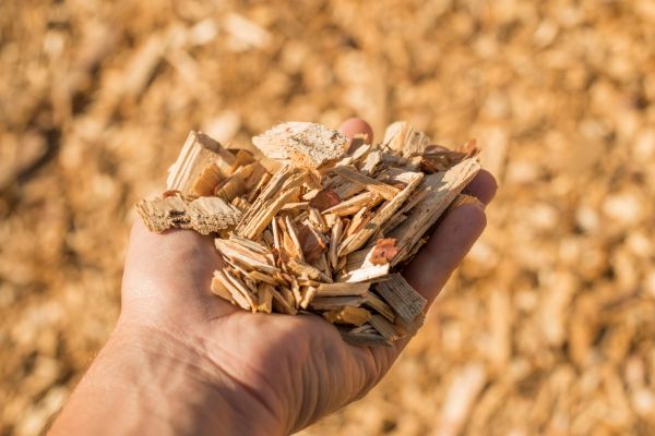 Wood Chips Spreading - Wood Chips Spreading Saint Johns, Florida