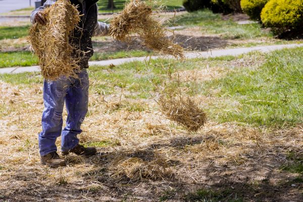Pine Straw Distributing
