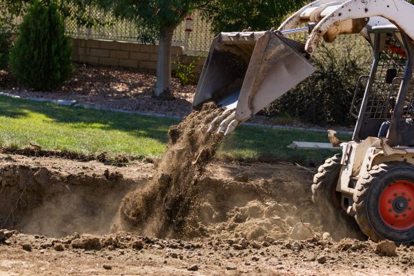 Backyard Dirt Removal