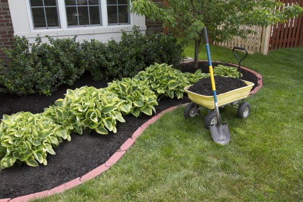 Landscaping Mulch Application