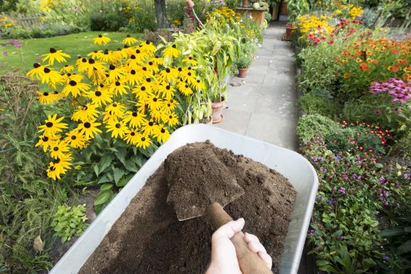 Topsoil Replacement - Topsoil Replacement Greenwood, Indiana
