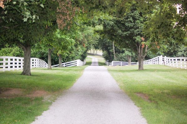 Dirt Driveway Maintenance