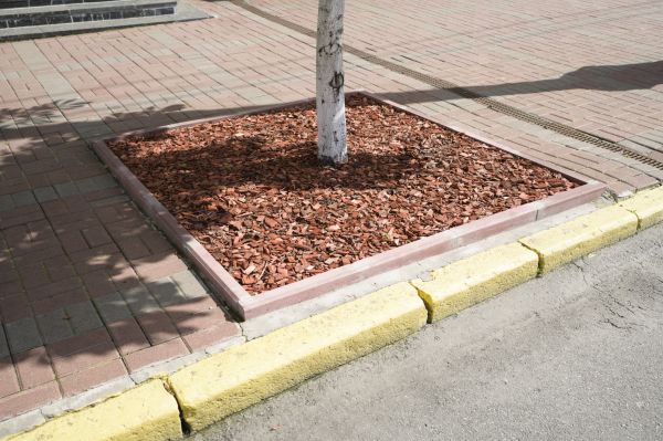 Tree Curbing Installation