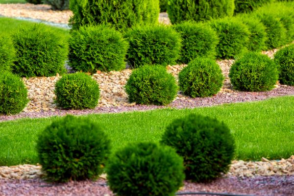 Bush Replacement - Bush Replacement Spokane, Washington