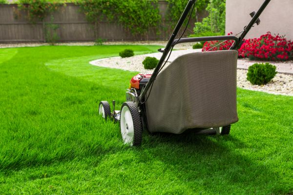 Front Yard Care