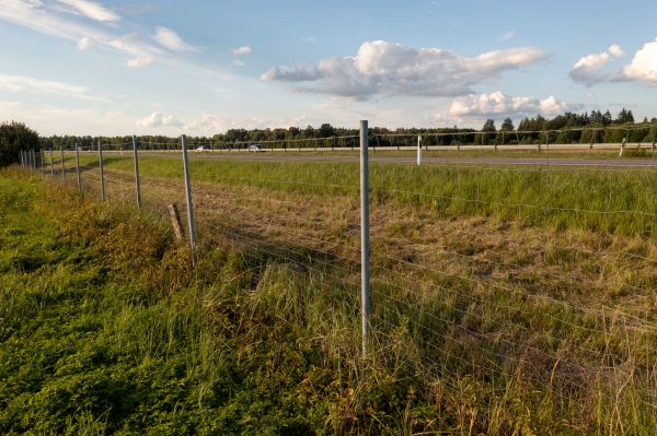 Property Line Clearing - Property Line Clearing Graham, Washington