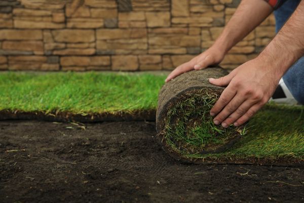 Backyard Sod Installation