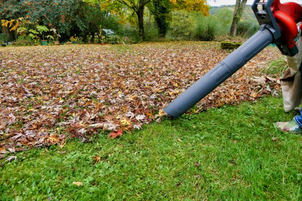 Leaves Vacuuming