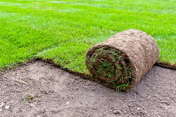 Bahia Sod Installation