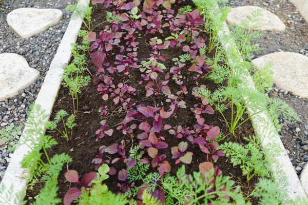 Flower Bed Curbing