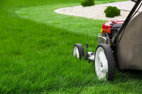 Grass Cutting Services
