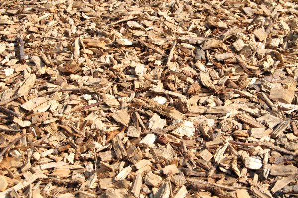 Wood Mulch Delivery - Wood Mulch Delivery Middlesex County, Massachusetts