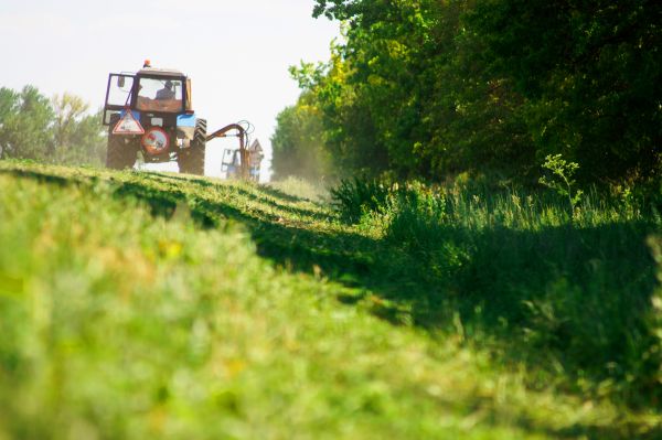 Pasture Bush Hogging