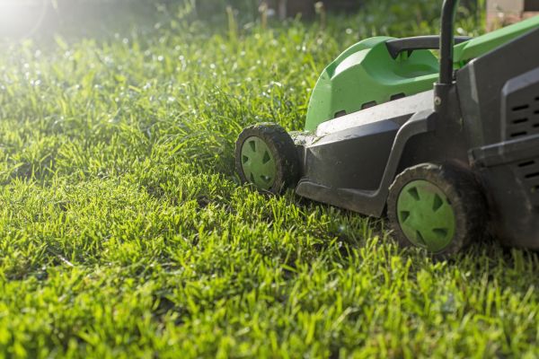 Lot Mowing