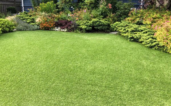 Compact Backyard Landscaping