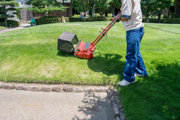 Bermuda Grass Cutting