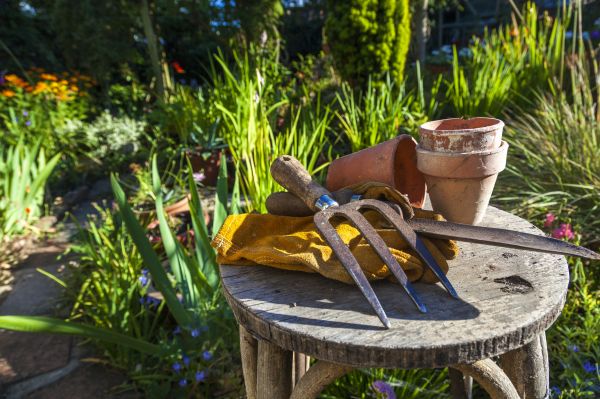 Flower Bed Planting