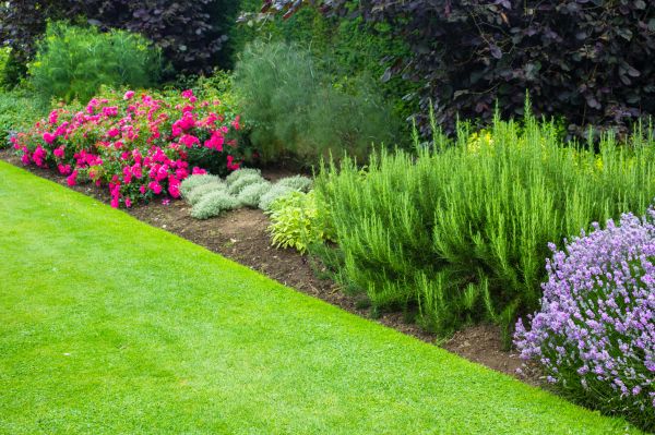 Monthly Garden Upkeep - Monthly Garden Upkeep Auburn, Washington