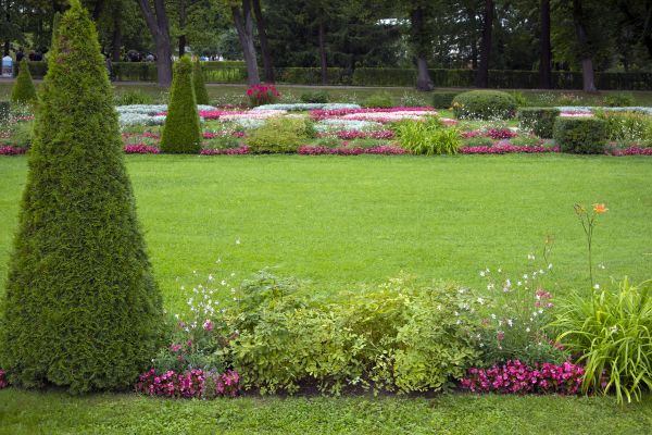 Grass Maintenance