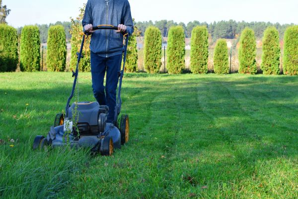 One Visit Lawn Service - One Visit Lawn Service Albany, Georgia