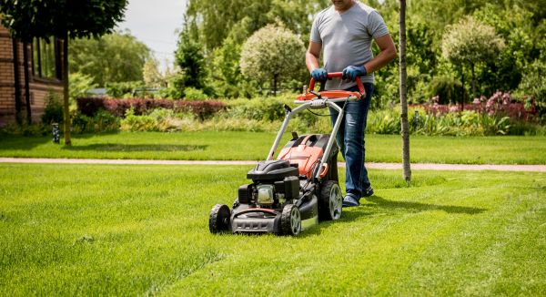 Single Visit Yard Care