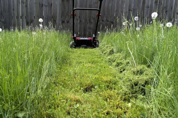 Fall Lawn Maintenance