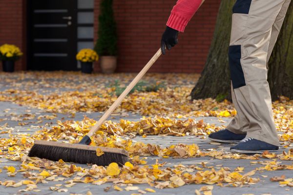 Leaf Cleaning
