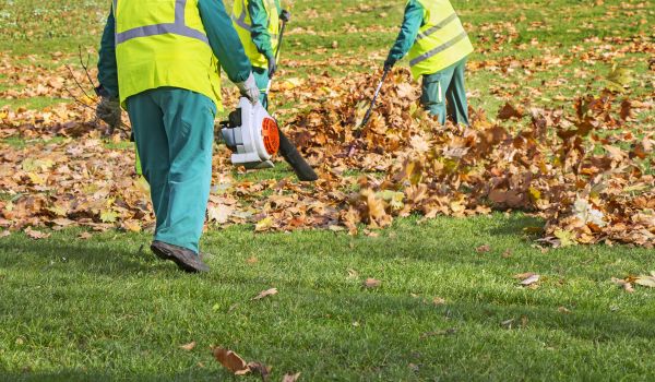Autumn Leaf Removal