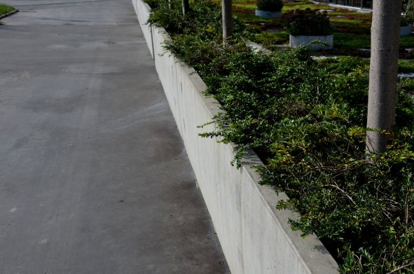 Concrete Hardscaping