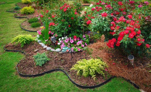 Outdoor Border Design - Outdoor Border Design Huntsville, Alabama