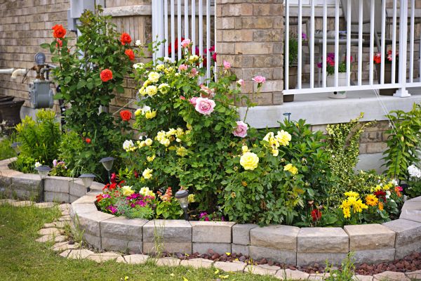 Lawn Curbing Service - Lawn Curbing Service Denver, Colorado