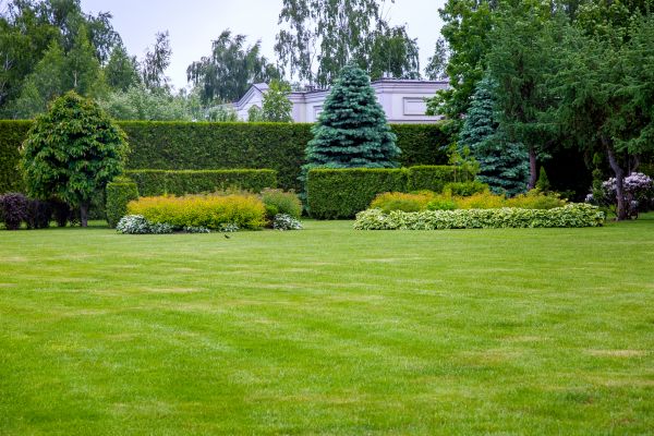 Exterior Grounds Maintenance