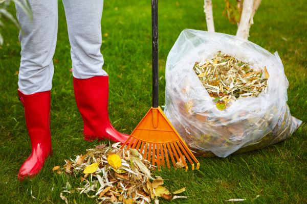 Autumn Leaf Removal