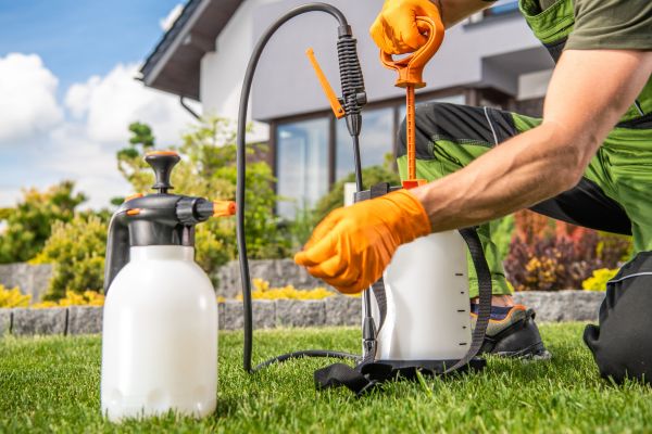 Lawn Disease Mitigation - Lawn Disease Mitigation Port Charlotte, Florida