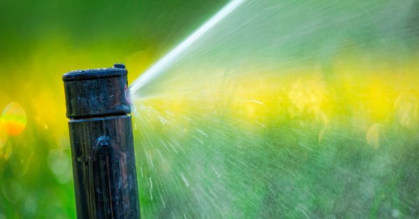 Grass Sprinkler Repair