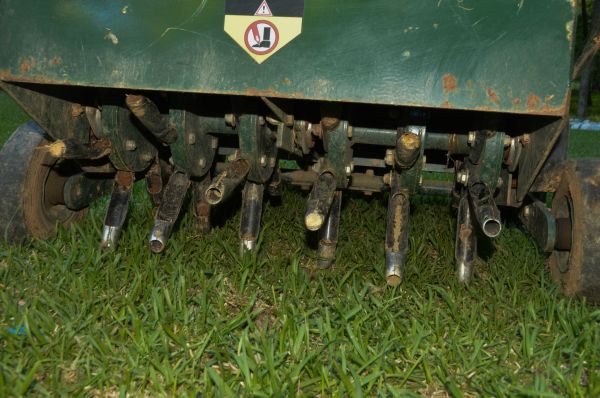 Grass Aeration Service