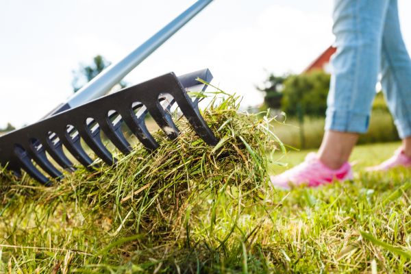 Thatch Removal Service - Thatch Removal Service Bowling Green, Kentucky