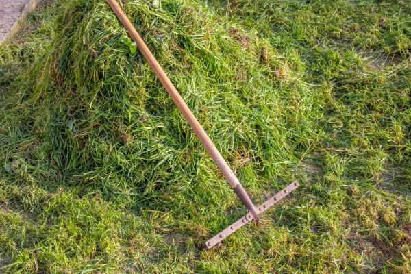Grass Decompaction