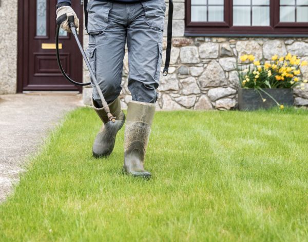 Lawn Disease Eradication