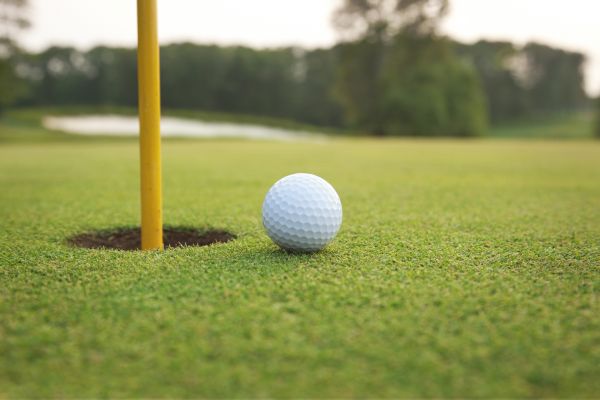 Artificial Turf Repair