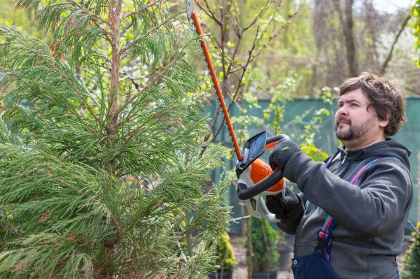 Bush Shaping Service