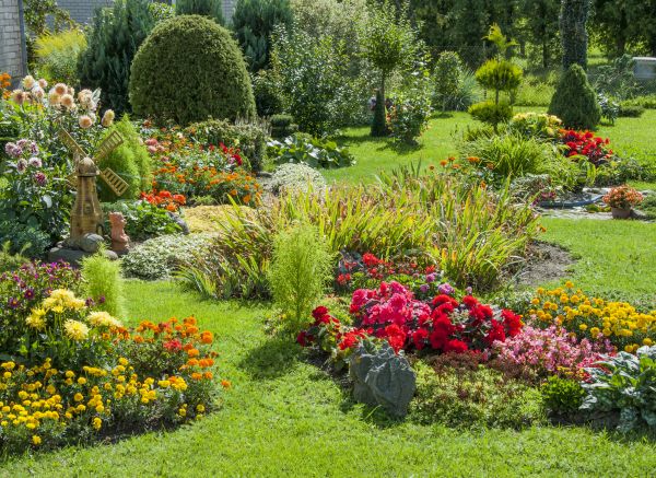 Garden Bed Design