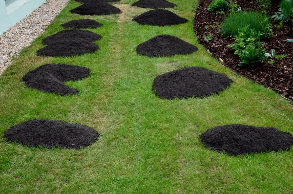 Landscaping Top Dressing - Landscaping Top Dressing Golden, Colorado